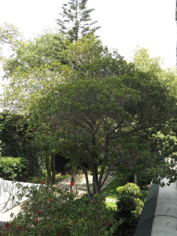 Pedregal Palace Mexico City Exterior photo